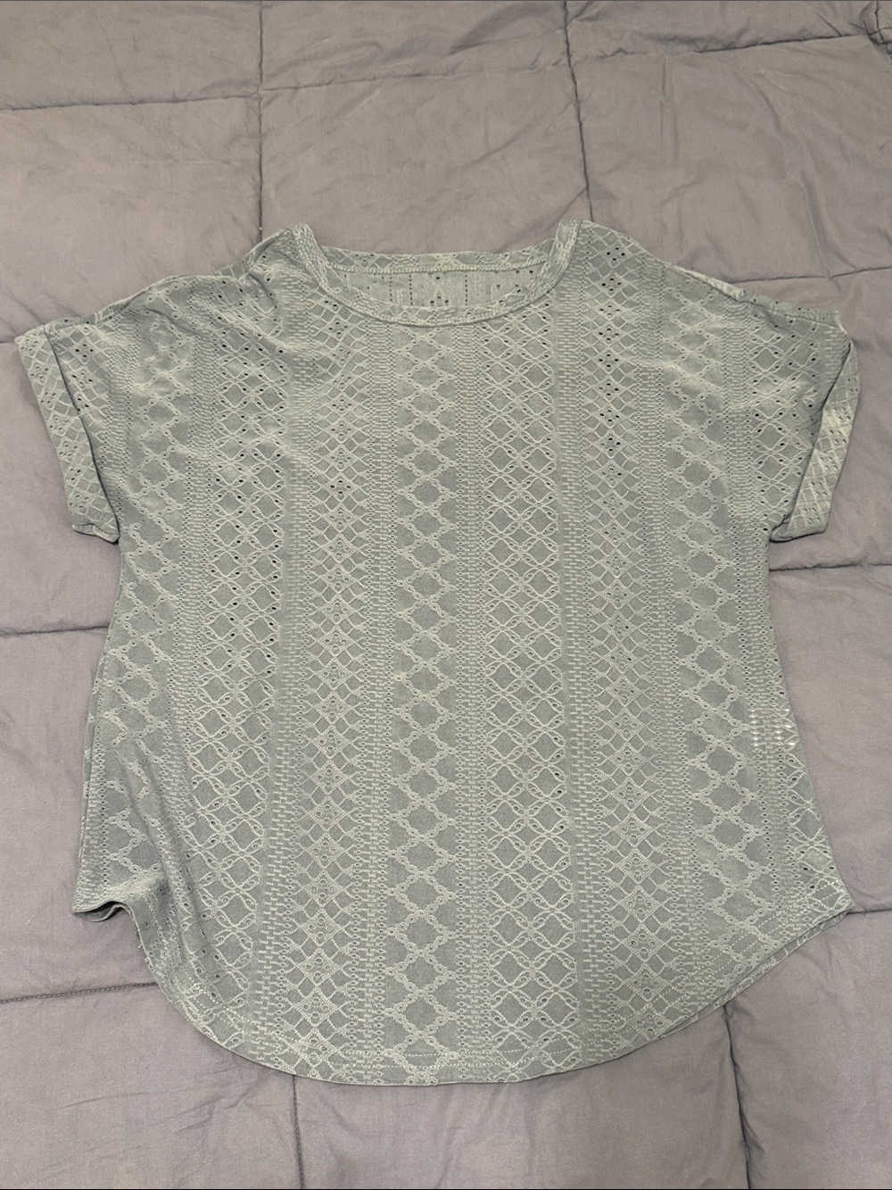 Women’s Short Sleeve Lace Knit Top in Light Sage